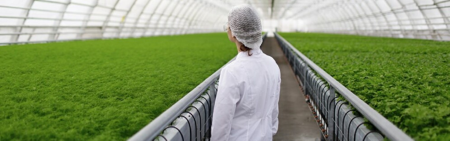 J9ֱӪ���š��й���½���ٷ���վ